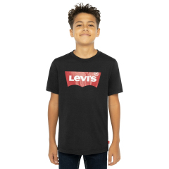 Levis Graphic Batwing Tee